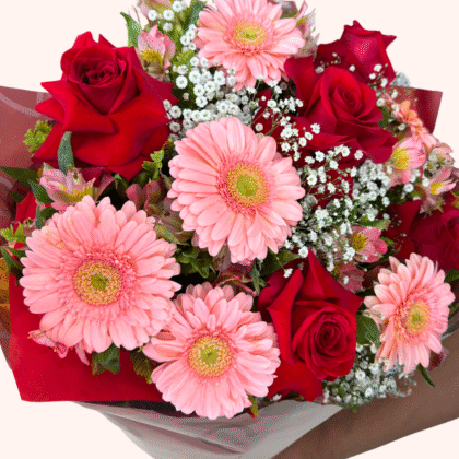 Gérbera Rosa e Rosa Colombiana