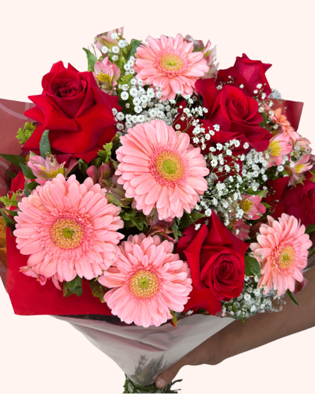 Gérbera Rosa e Rosa Colombiana