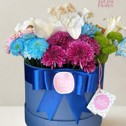 Box Azul do Campo - Flores do Campo